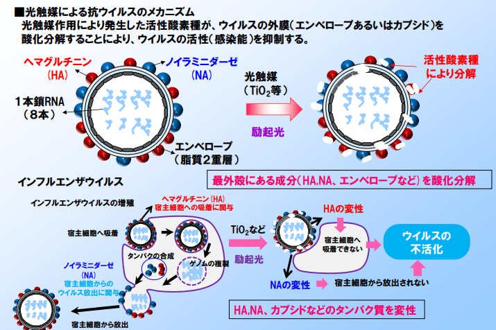 光触媒による抗ウイルスのメカニズム