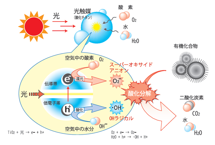 ウィルスを分解する光触媒